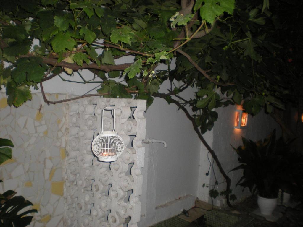 Manolis' House Aparthotel Skiathos Exterior foto