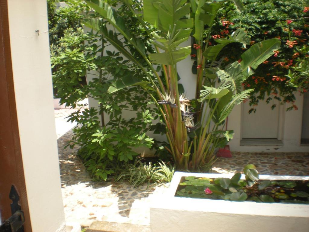 Manolis' House Aparthotel Skiathos Cameră foto